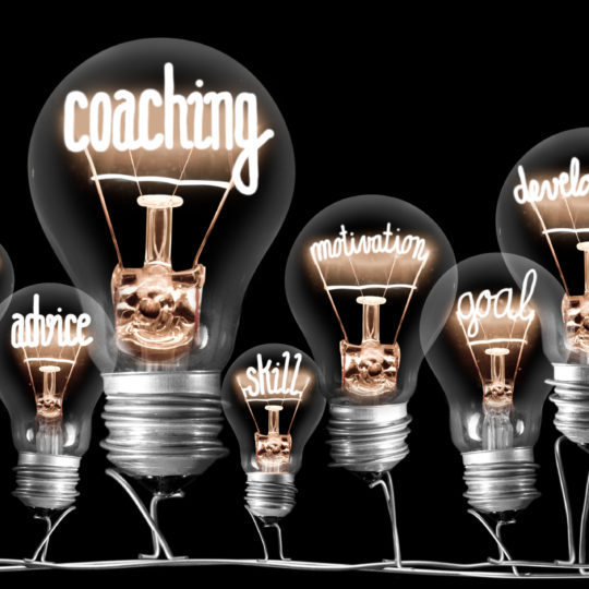 Expert Support & Group Coaching
